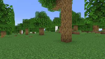 Shadify preview