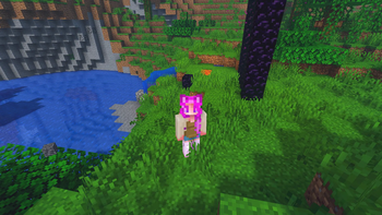 Catnip Shaders in-game preview
